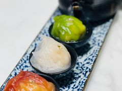 -点都德·毕德寮