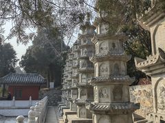 -泰山风景名胜区-普照寺