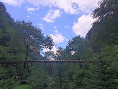 -青峰峡国家森林公园