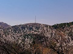 -北京西山国家森林公园