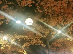 -松针蔡记蒸饺(花园路店)