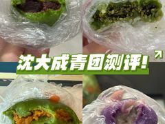-沈大成(南京东路店)