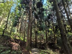 -山王坪喀斯特国家生态公园