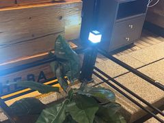 -河坝烧烤串城(金达莱店)