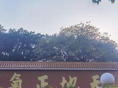 -广州莲花山旅游区