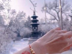 -哈尔滨极乐寺