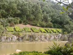 -深圳国际园林花卉博览园