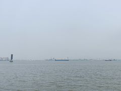 -海鸥岛
