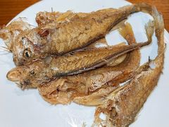 -建滔诺富特酒店-悦餐厅