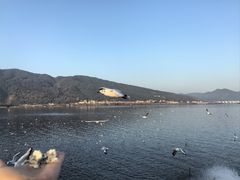 -海埂大坝
