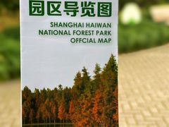 -上海海湾国家森林公园