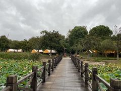 -上海鲜花港