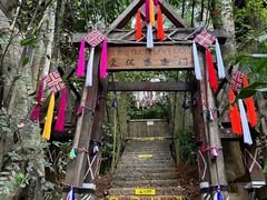 -西双版纳原始森林公园