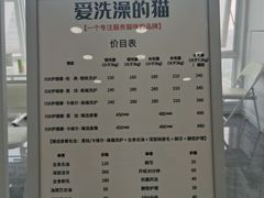 -爱洗澡的猫(望京店)