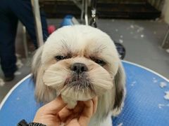 -转角宠物(转塘方家苑店)