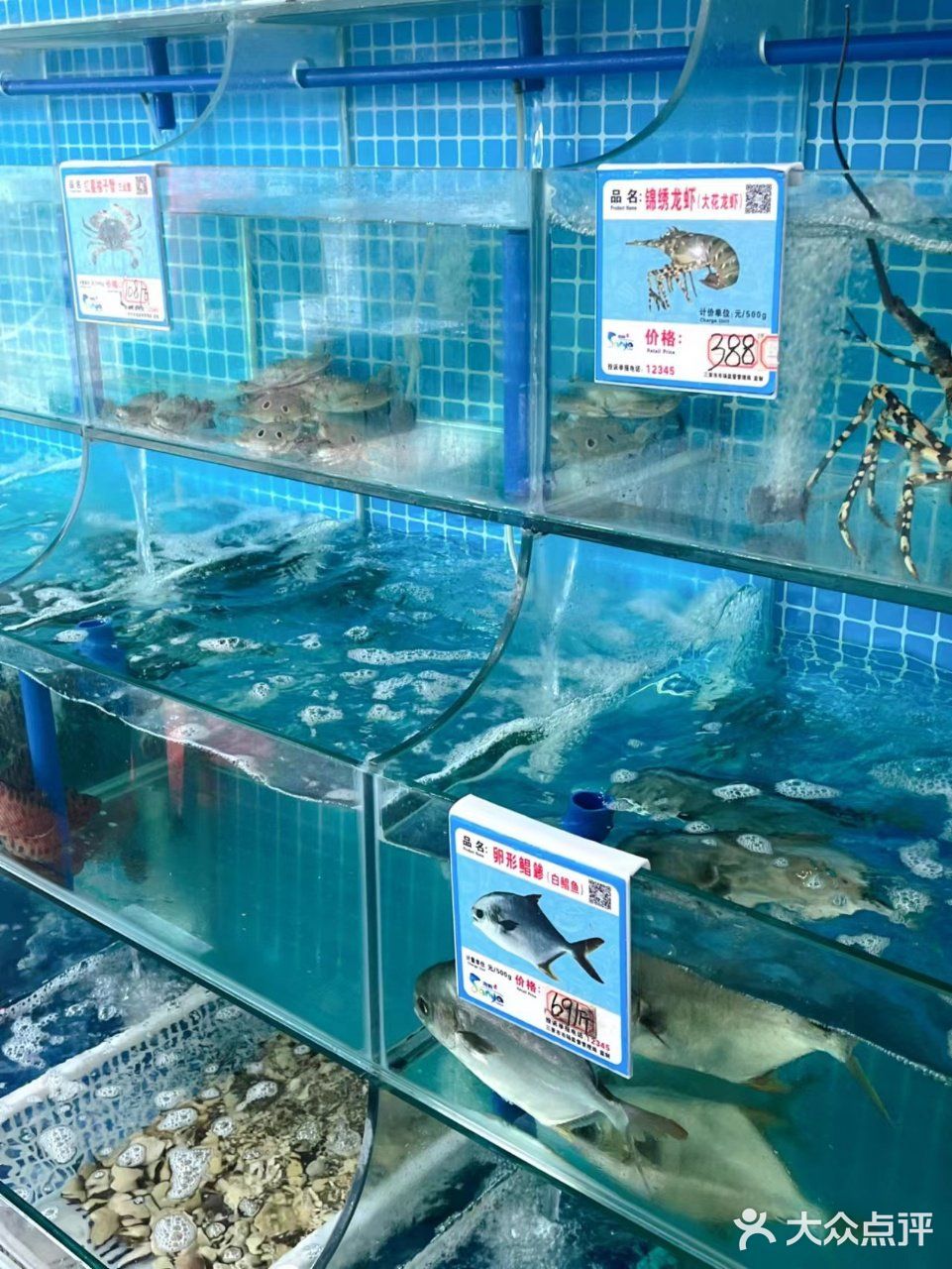 🆘 这是什么神仙海鲜店？现捞现做真的爆赞💥 