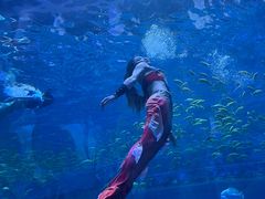 -华夏文旅海洋公园