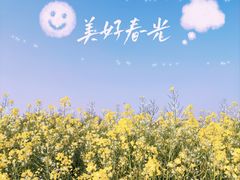 -漕湖湿地公园