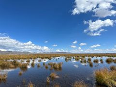 -花湖生态旅游区