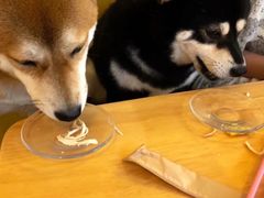 -柴の食堂·日式家庭料理·熊之肆(大学路店)