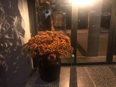 -Apollo·西班牙小酒馆(安福路店)