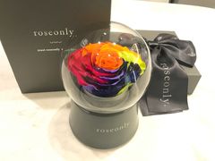 -ROSEONLY诺誓(广州K11店)