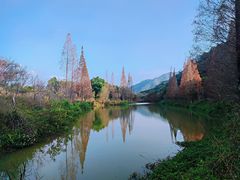 -田野绿世界