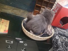 -小时光咖啡馆(开森度假森林店)