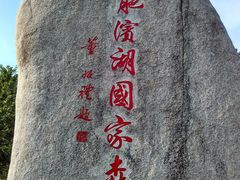 -合肥滨湖国家森林公园