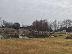 -滆湖低碳生态公园