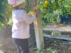 -前小桔亲子创意农场·草莓采摘·露营烧烤