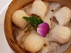招牌虾饺皇-江南村酒家