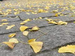 -汇龙潭