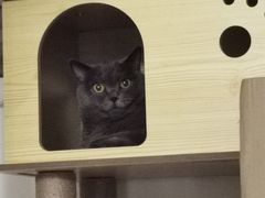 -爱诺耐芙动物医院(万博店)