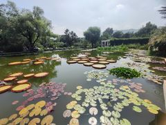 -国家植物园南园