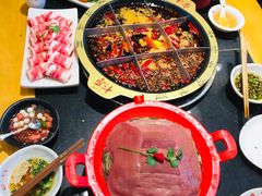 -一斗火锅·招财羊毛肚(北温泉九号店)
