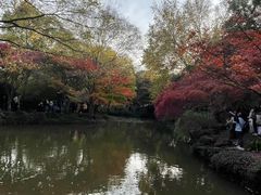 -秋霞圃