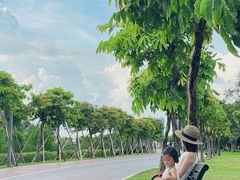 -万绿园
