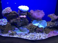 石家庄动物园-石家庄市动物园