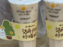-猫的魔法密林(衣裳街店)