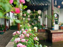 -郭庄景区