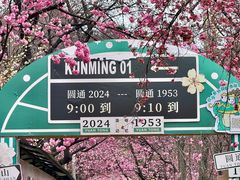 -昆明动物园