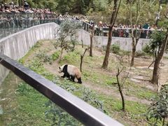 -黔灵山公园