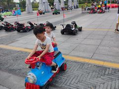 -王借岗森林公园