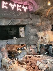 -Zoolung Zoolung动物主题公园(海信广场店)