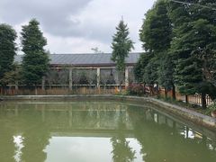 -水岸庭院·乡村柴火鸡