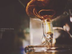 -舍咖啡 Anchor coffee