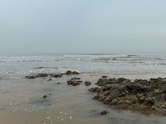 -日照海滨国家森林公园