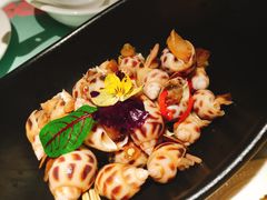 陈年花雕醉花螺-大树餐厅(益田假日店)