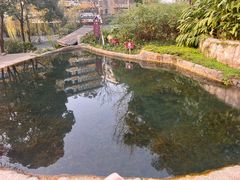 -成都市活水公园